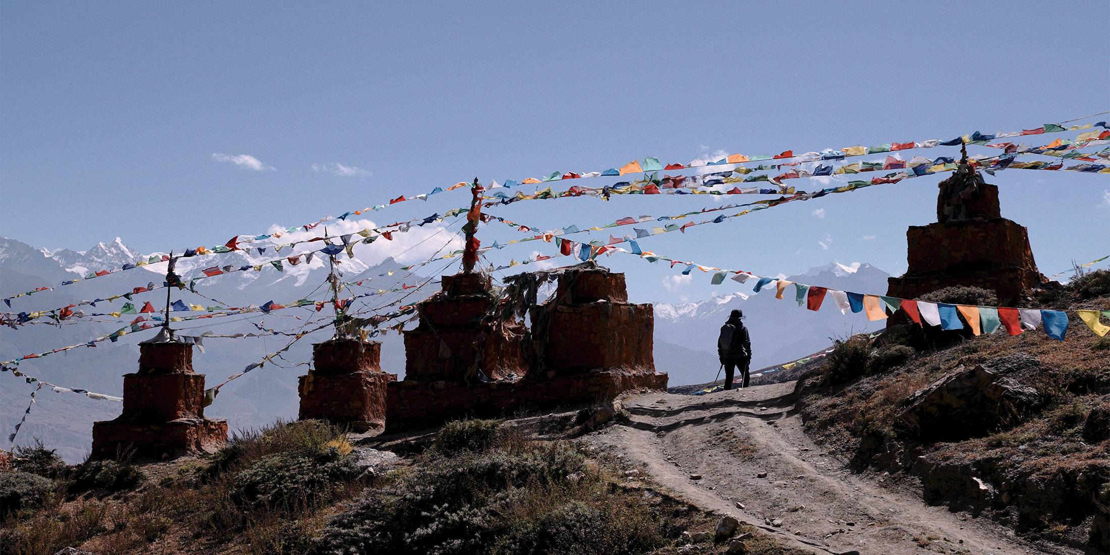 The backpackers are hiking on the Tibetan Plateau