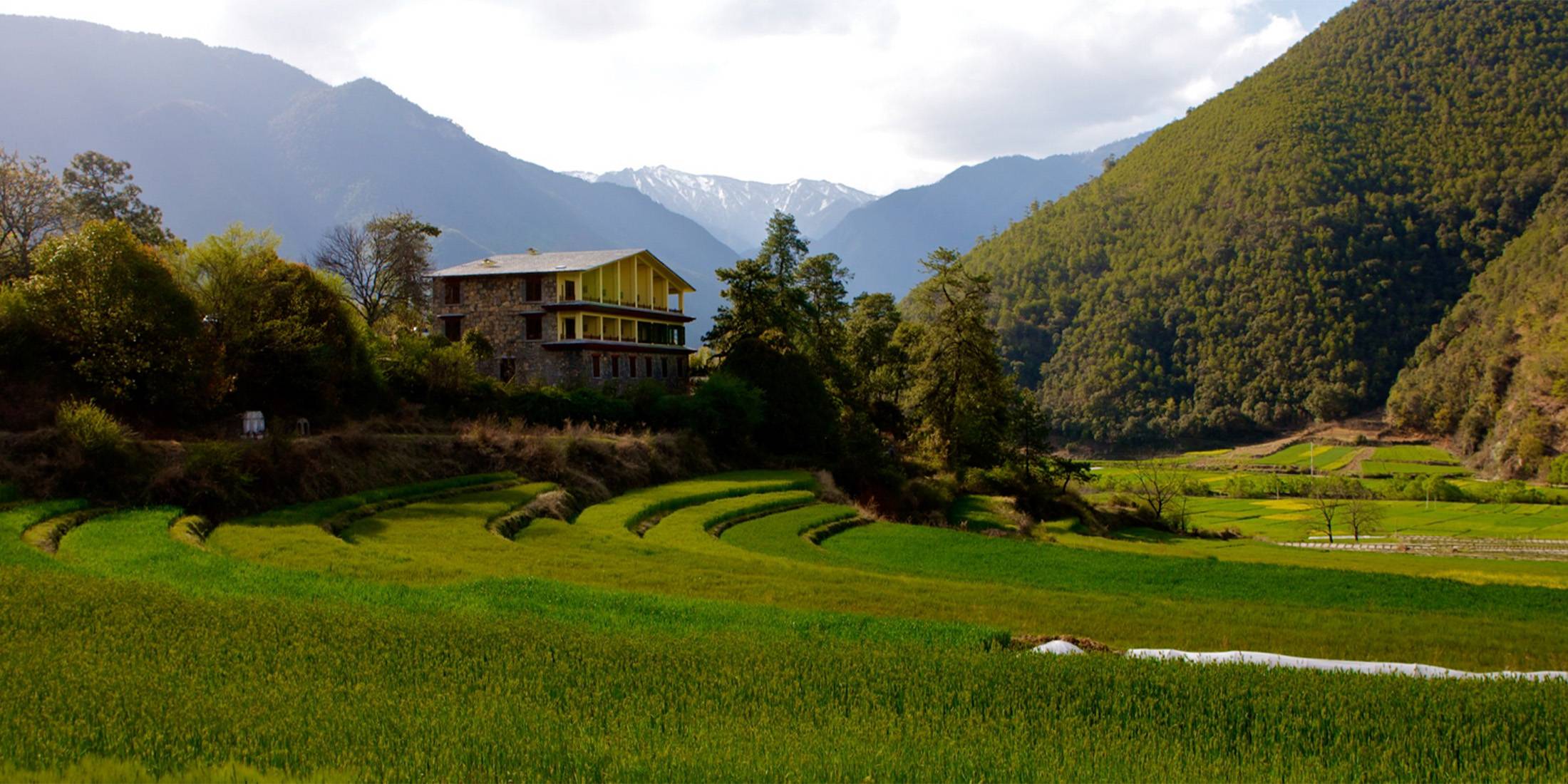 Views of the terraced rice fields from Songtsam Tacheng Lodge